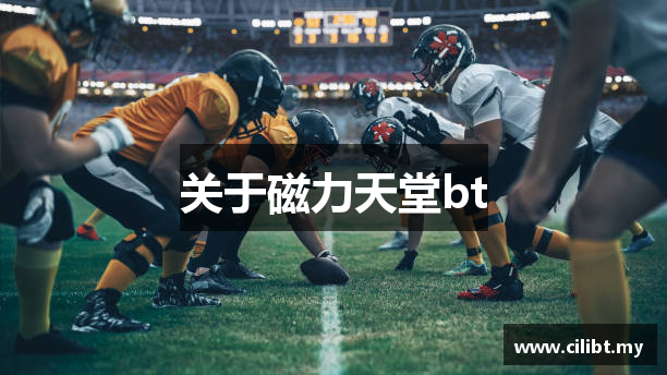 关于磁力天堂bt